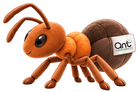 Rufa the wood ant, seen from the side.