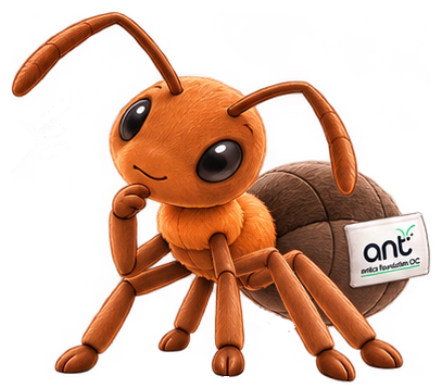 Rufa the wood ant, thinking it over.