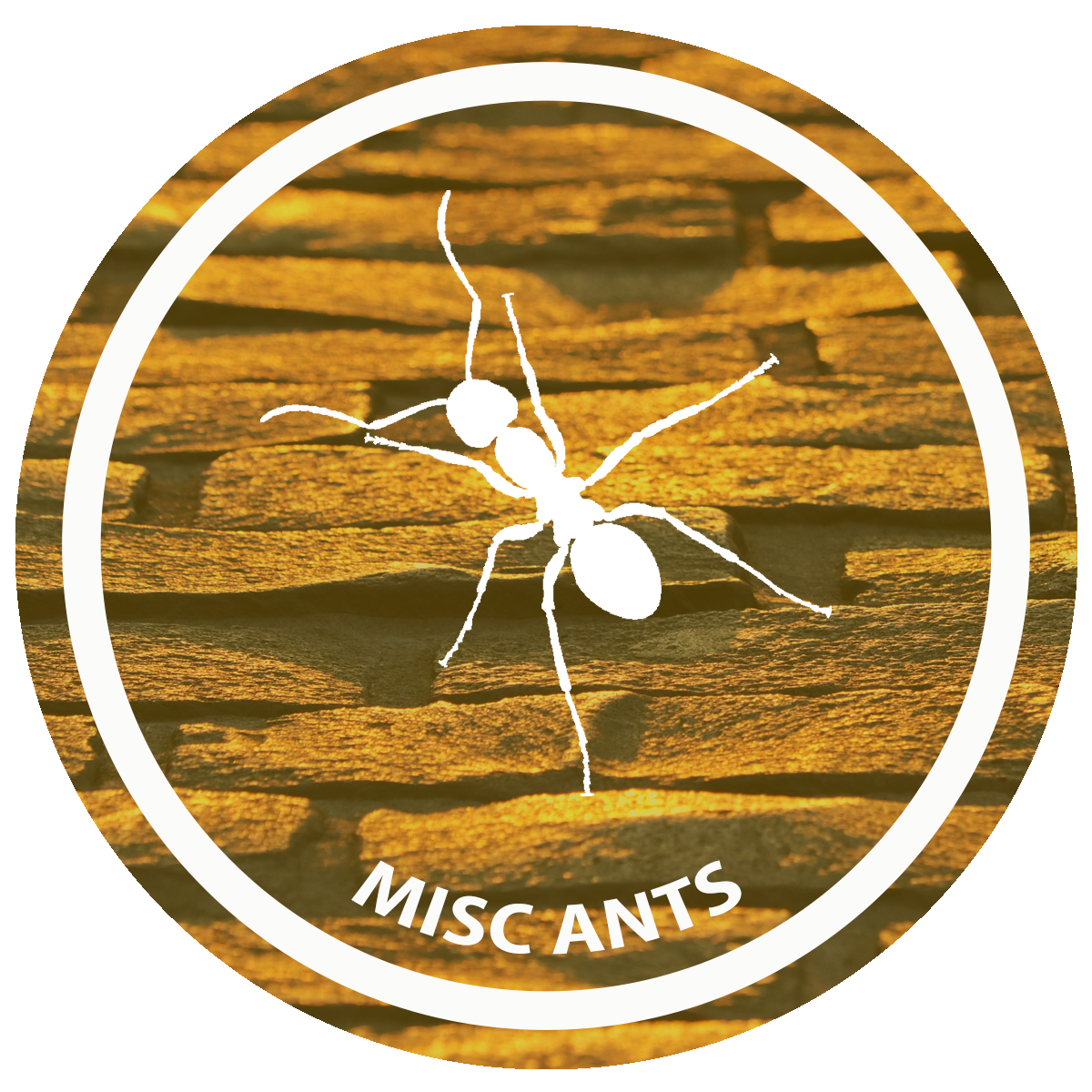 Logo, Small yellow round - other rev..png