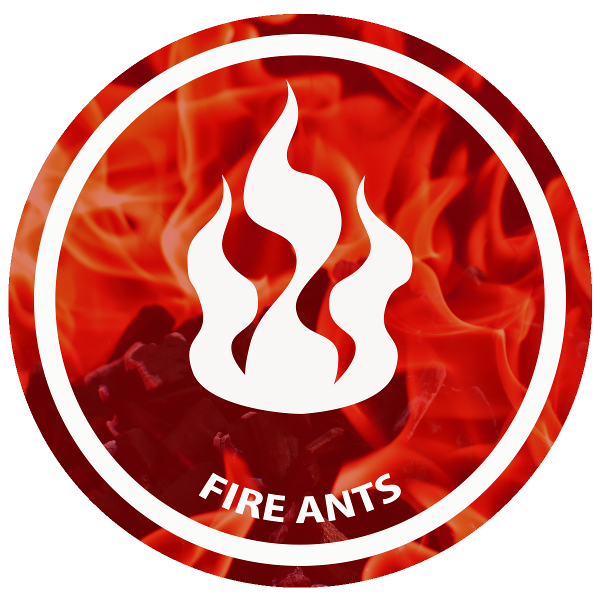 Logo, Small red round - fire rev..png