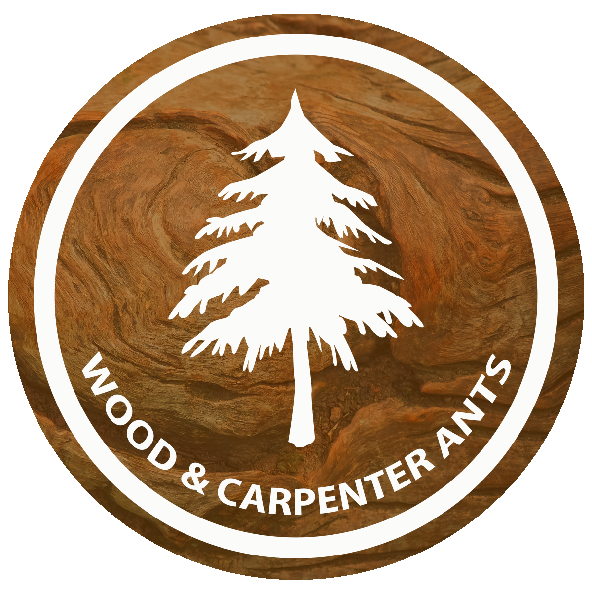 Logo, Small brown round - carpenter rev..png