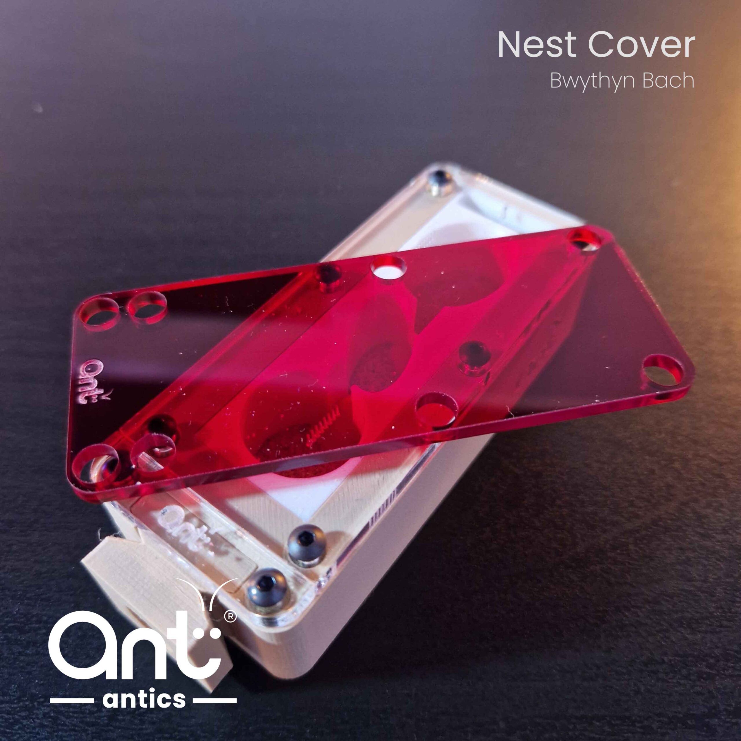 Nest Cover - Bwthyn Bach