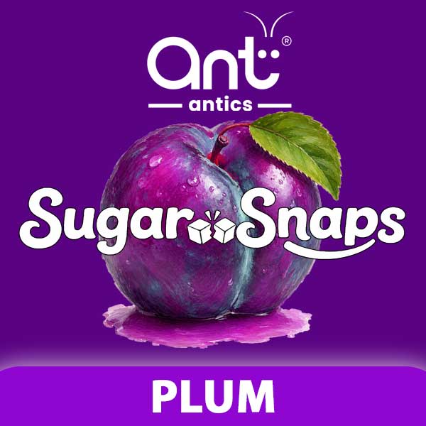 Sugar Snaps - Plum Sugar Snaps - Plum