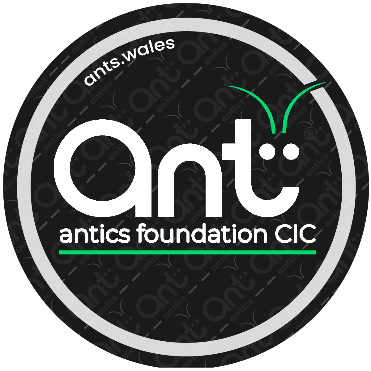 ant antics badge foundation.png