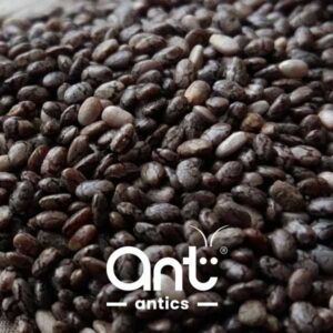 Chia Seeds (Harvester Ants - Universal)