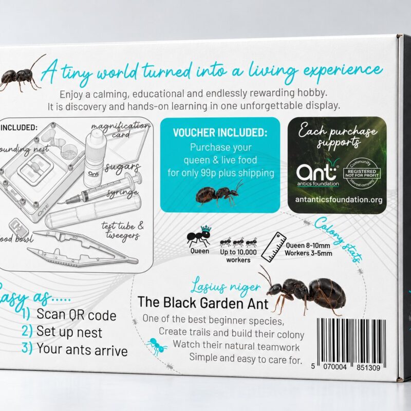Black Garden Ant starter kit, box back Black Garden Ant starter kit box, back showing everything included