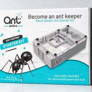 Black Garden Ant starter kit box, front