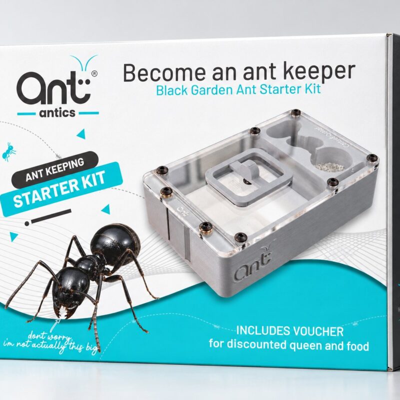 Black Garden Ant starter kit, box front Black Garden Ant starter kit box, front