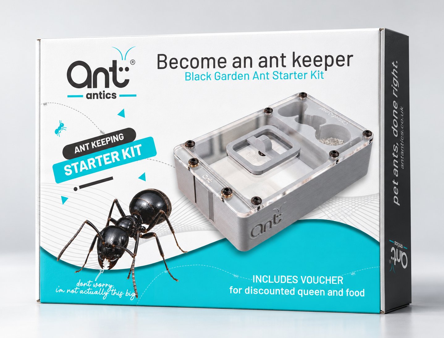 Black Garden Ant starter kit box, front