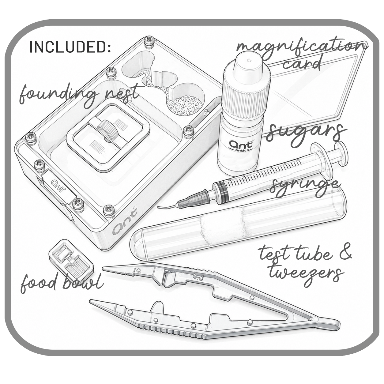 Starter kit contents: founding nest, sugars, syringe, test tube and tweezers, food bowl and magnification card.