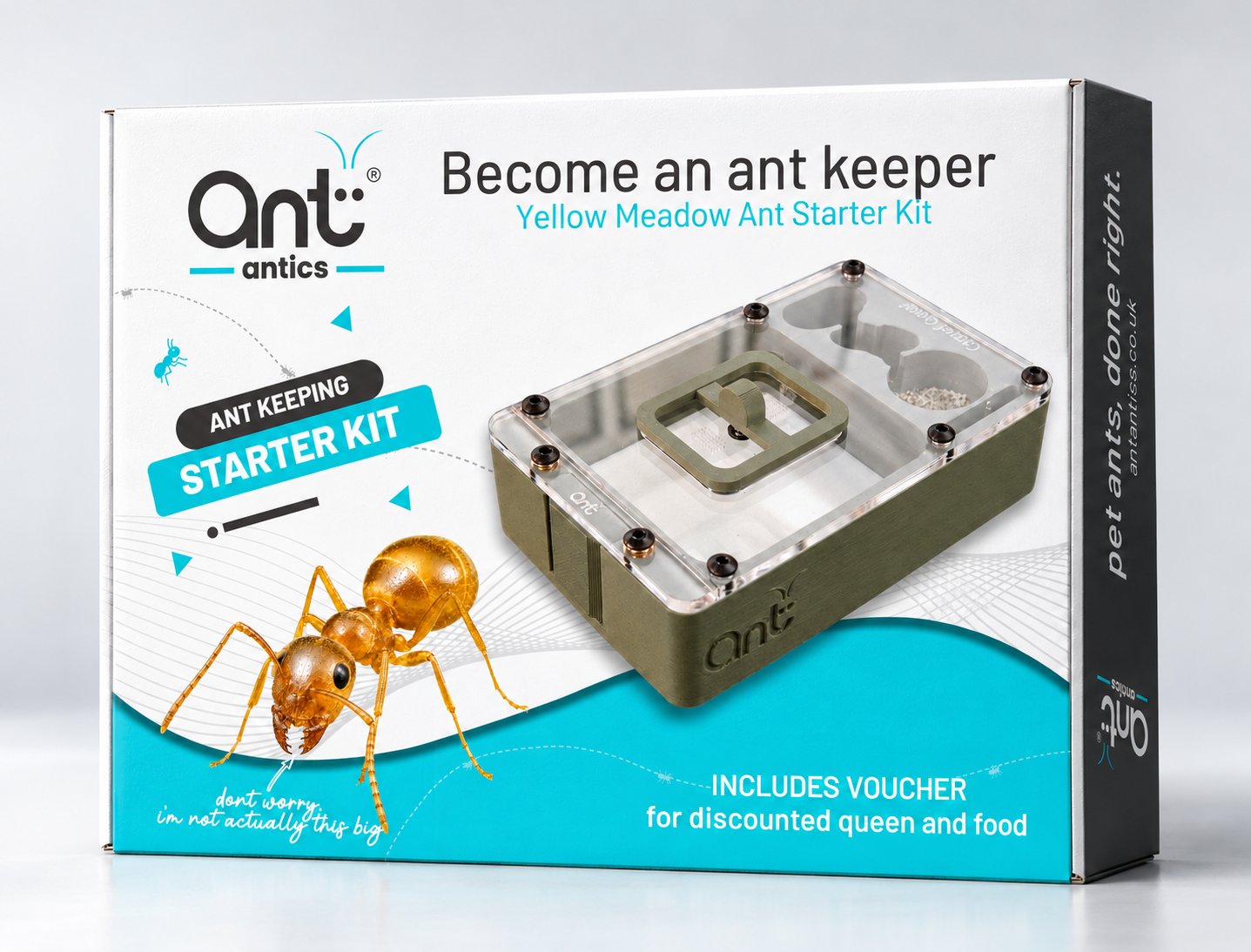 Yellow Meadow Ant starter kit box, front